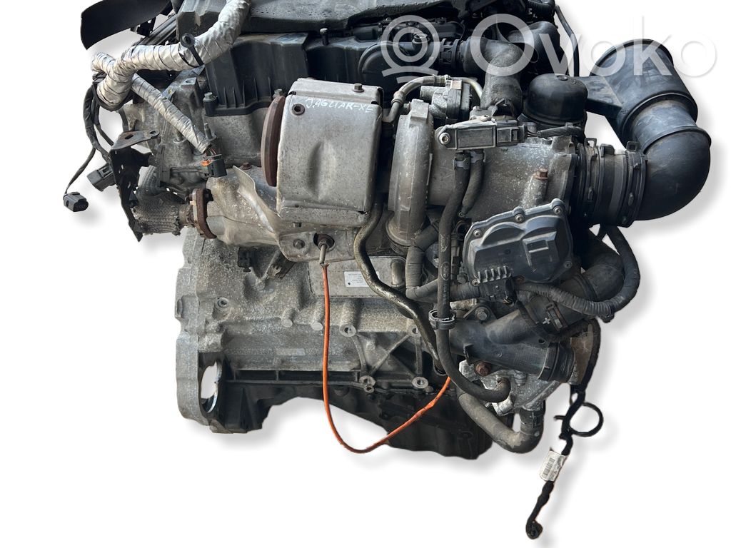 Engine   G4D318N968AA,1160AA1,160419,0095AA,124041W0140204DTD,160428,204DTD,G4D3,G4D36K682AE,G4D39K546AA