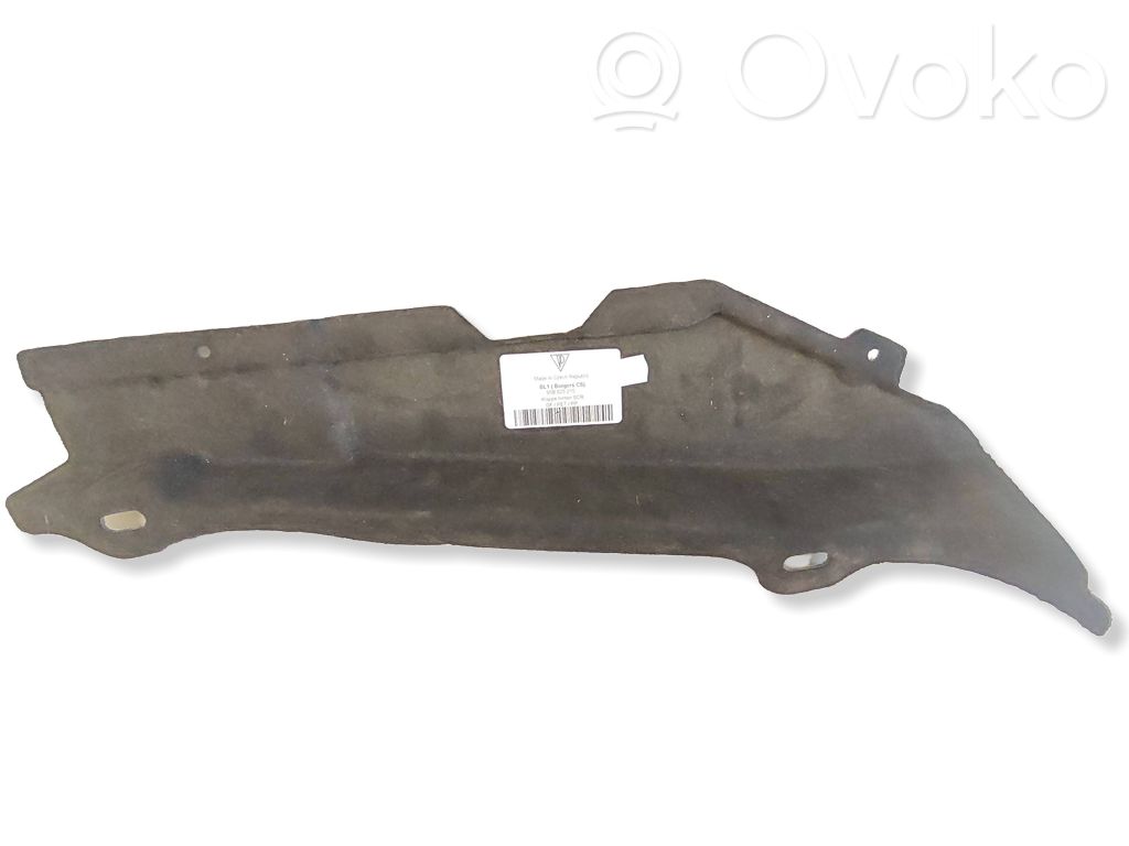 Dugno apsauga   95B825215