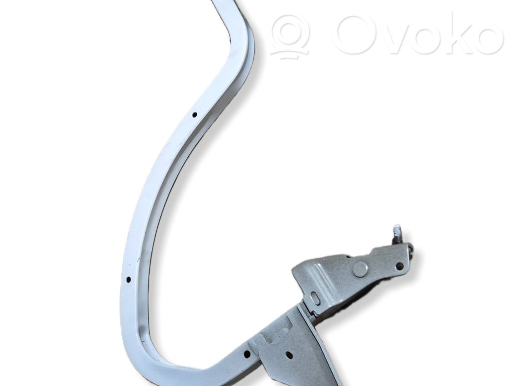 Tailgate/trunk/boot hinge   712AF