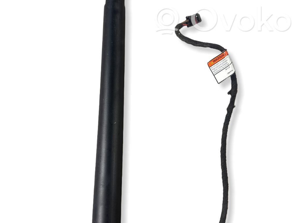 Land Rover Evoque II Ammortizzatore portellone posteriore/bagagliaio 
