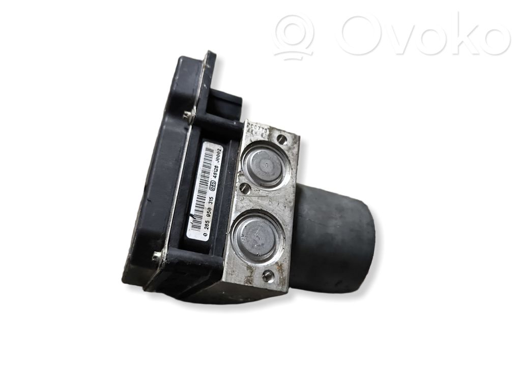 ABS Pump   0265950315,6768646
