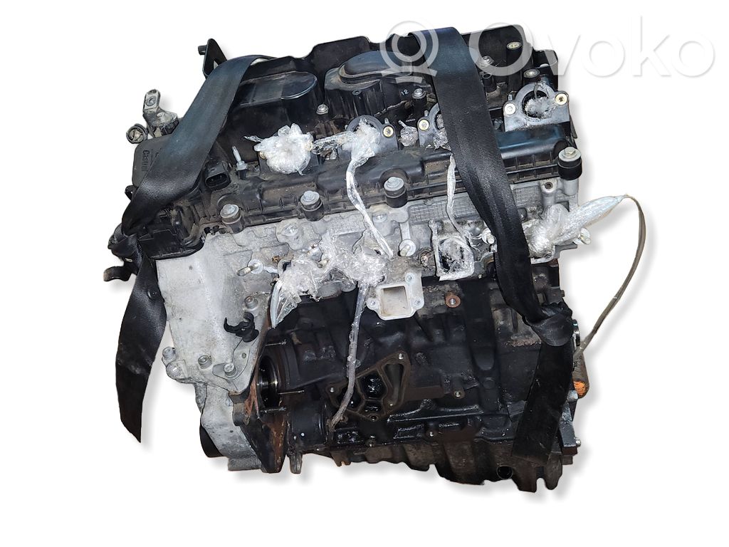 Engine   204D4,80755440