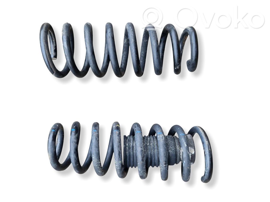 Front coil spring   6795212