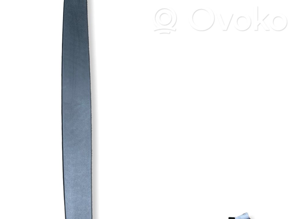 Tailgate trim   95B867973B,95B867973