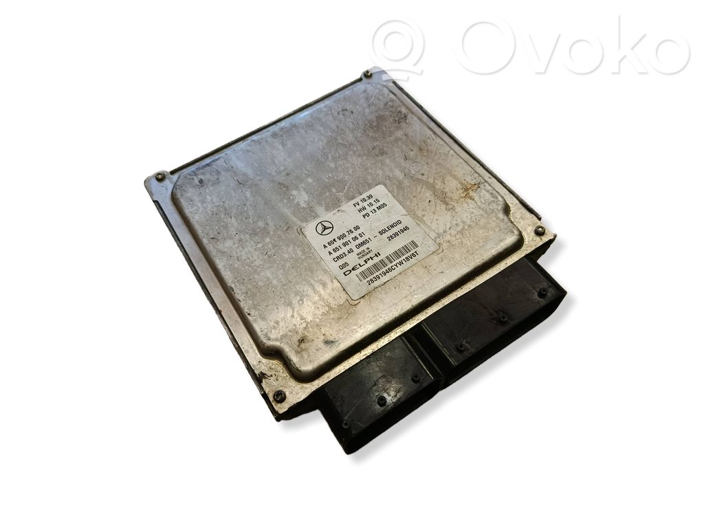 Engine control unit/module   A6519007600,A6519010601,28391946