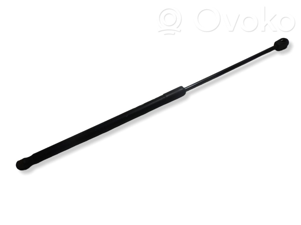 Tailgate/trunk strut/damper   7127875