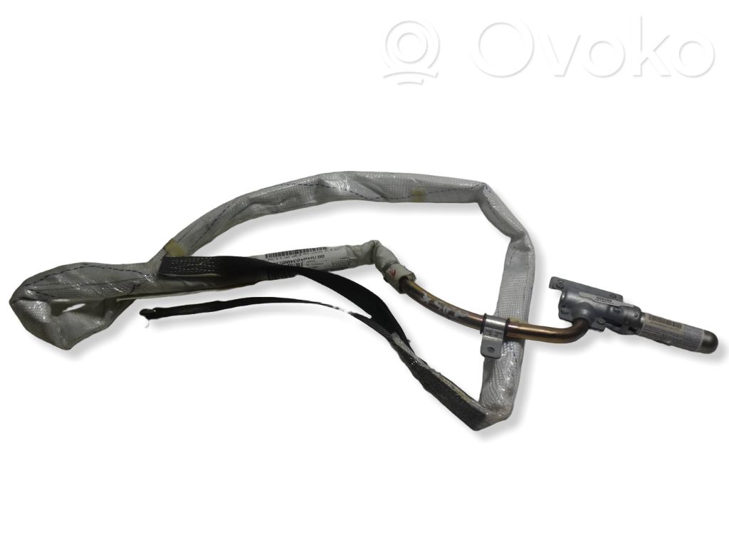 BMW X5 E53 Airbag del techo 