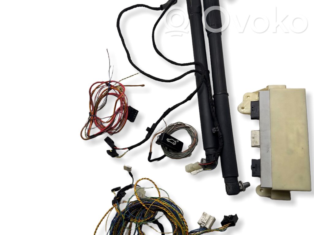 Tailgate/trunk control unit/module   7230669,69908ZL,6S800A900A,71722059,7332696