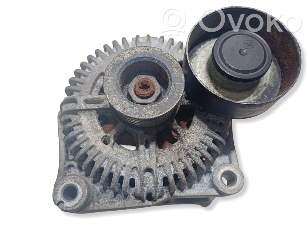 Lichtmaschine   2586175,TG17C048,2015511,7802929,780292901