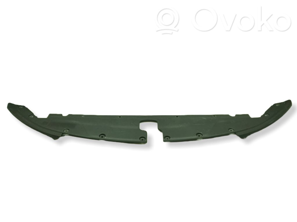 Chrysler Pacifica Engine bonnet/hood lock trim molding 