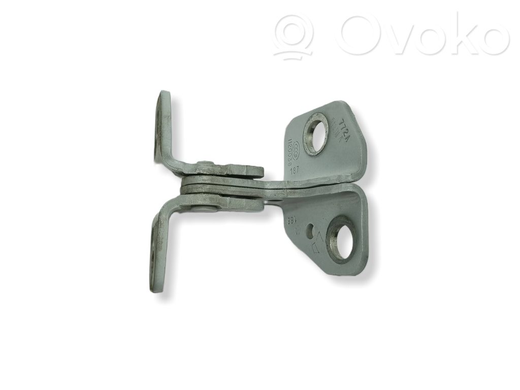 Front door lower hinge   85574AF