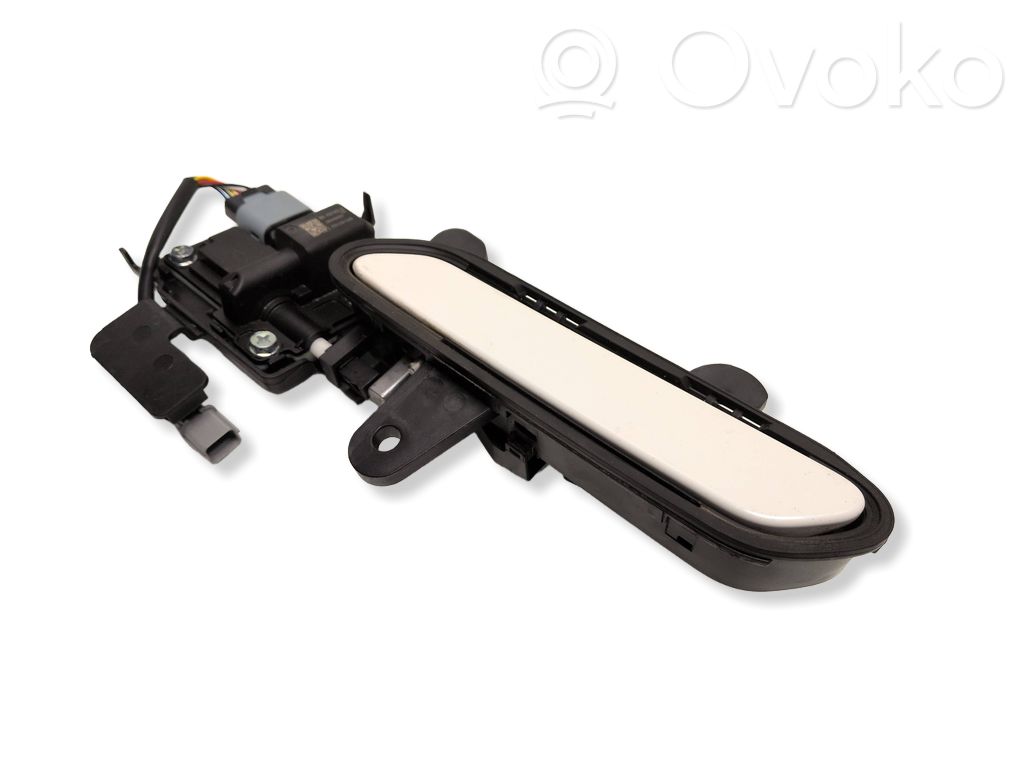 Manecilla externa puerta trasera   ZX928001,24050600484,82670G0G1000