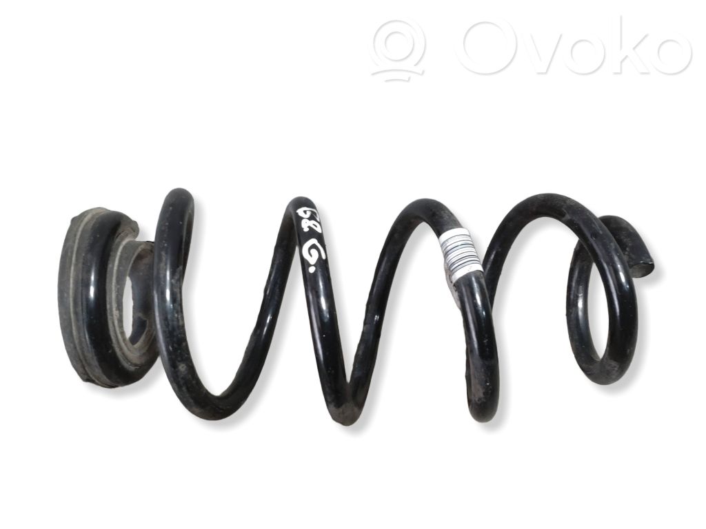 Rear coil spring   6852467