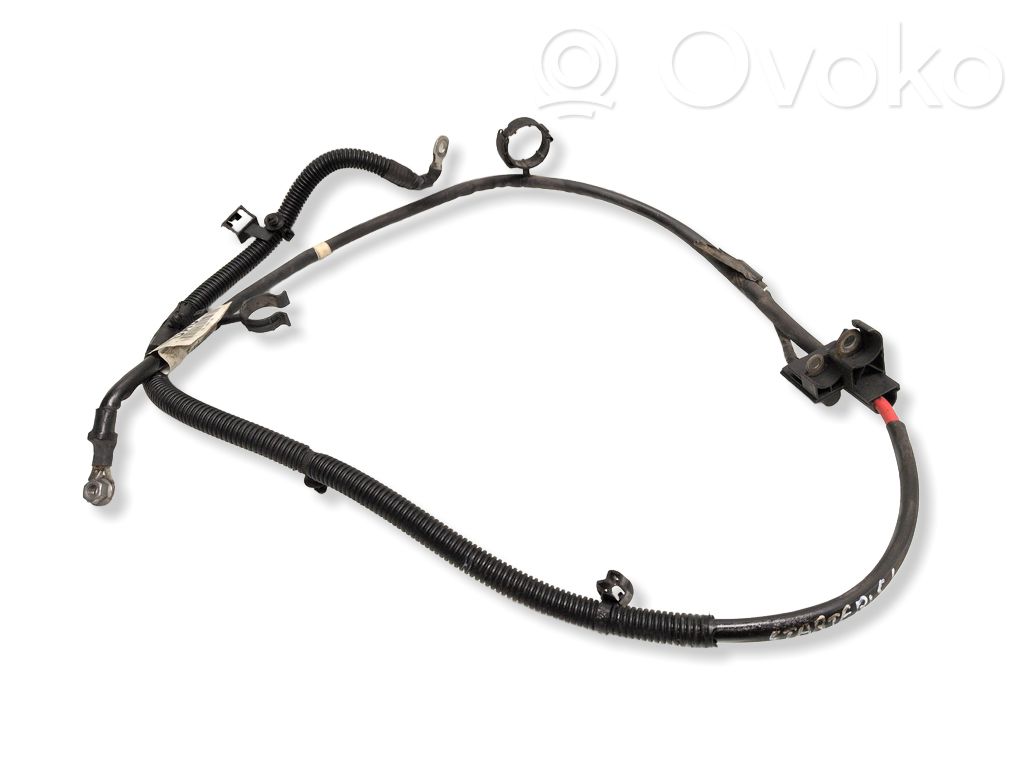 Ford Focus Wires (starter motor) 
