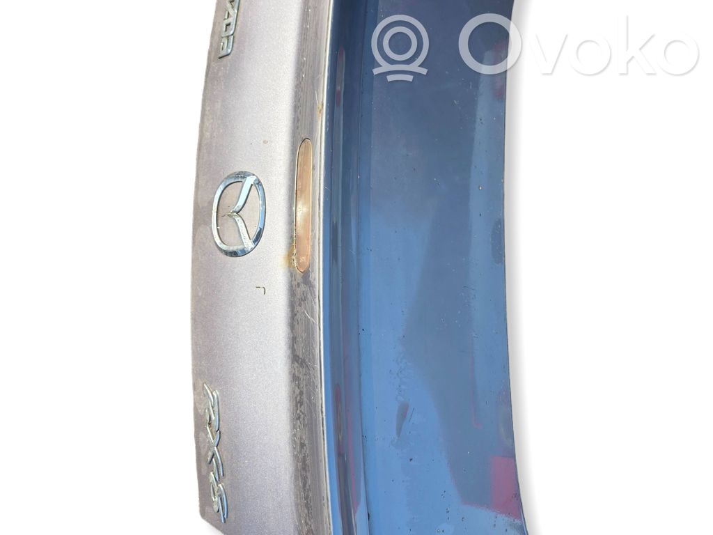 Tailgate/trunk/boot lid