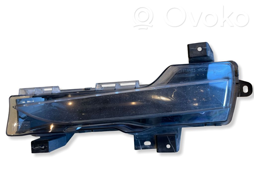 Tesla Model Y LED Daytime headlight 