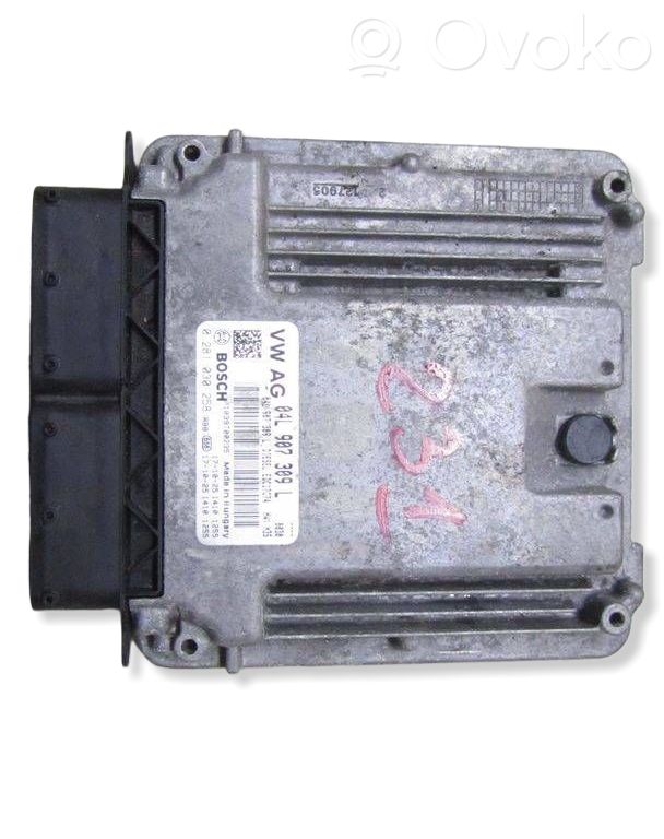 Engine control unit/module   0281030258