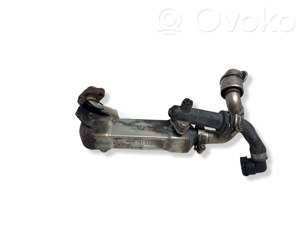 BMW 3 E90 E91 EGR aušintuvas 