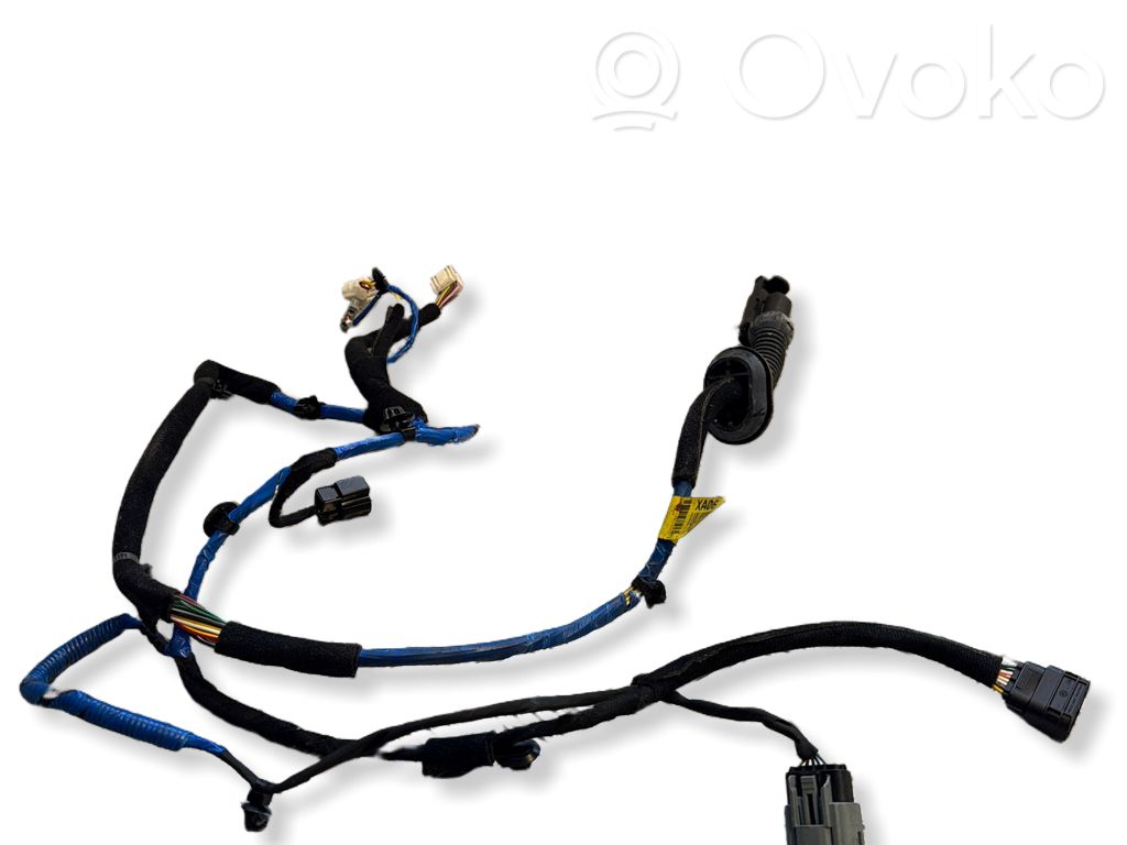 Hyundai Ioniq 5 Cableado de puerta trasera 