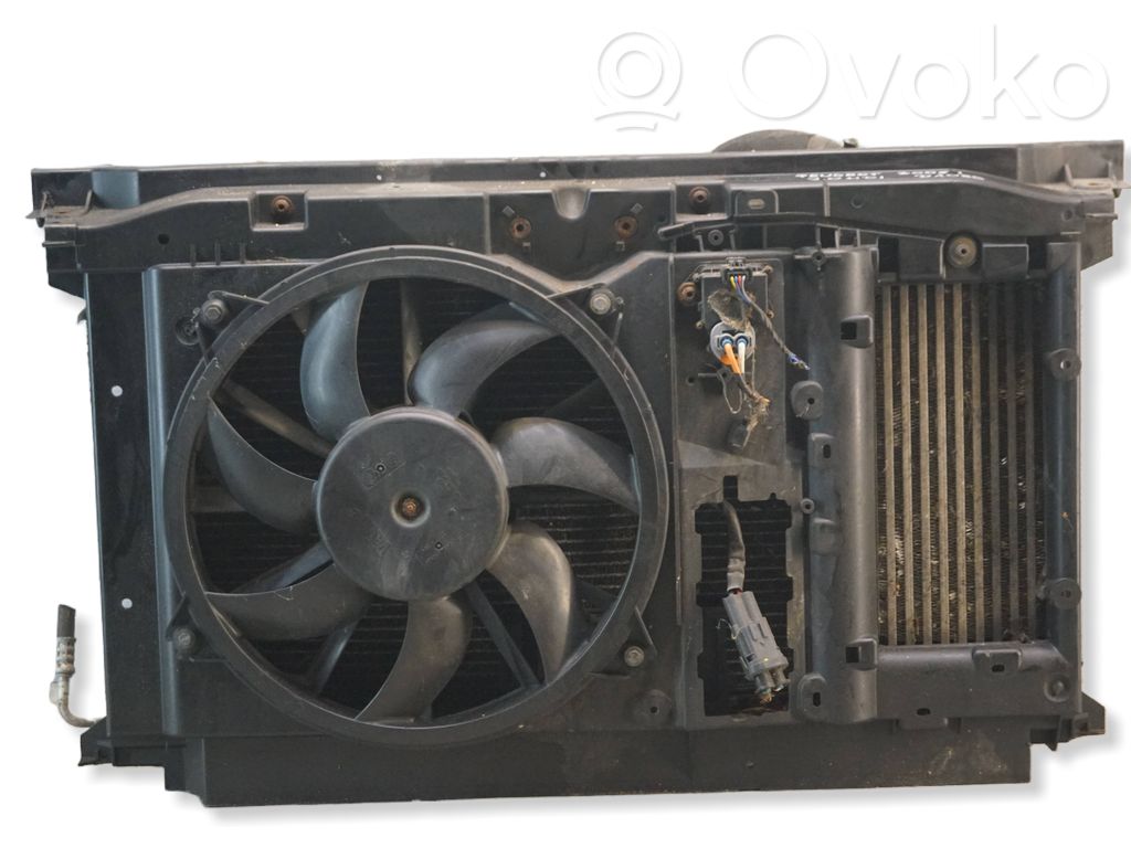 Peugeot 3008 I Radiatoru panelis 
