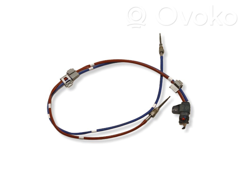 Renault Kangoo III Exhaust gas temperature sensor 