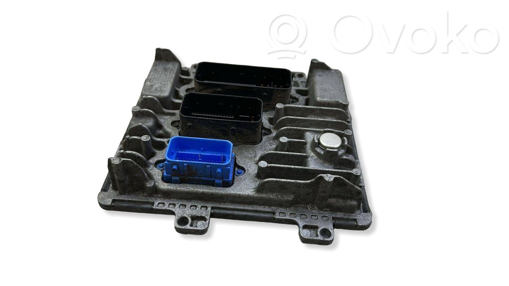 Engine control unit/module   55484738,395357783,1310101000000X