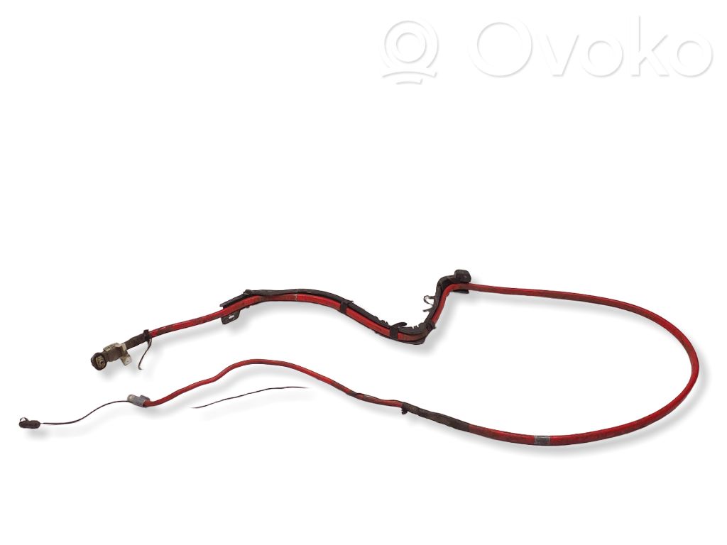 Positive cable (battery)   6927705
