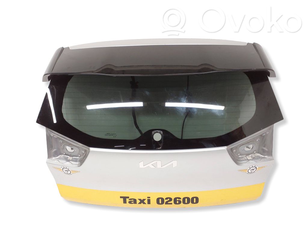 Tailgate/trunk/boot lid