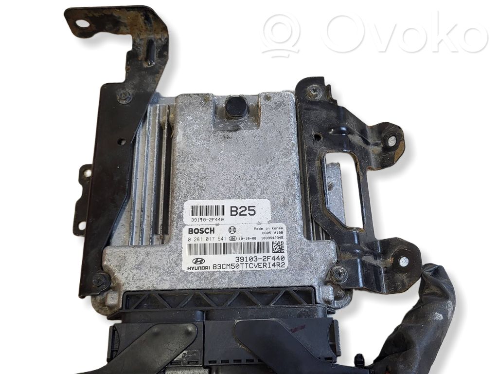 Engine control unit/module   391182F440,391032F440,0281017541