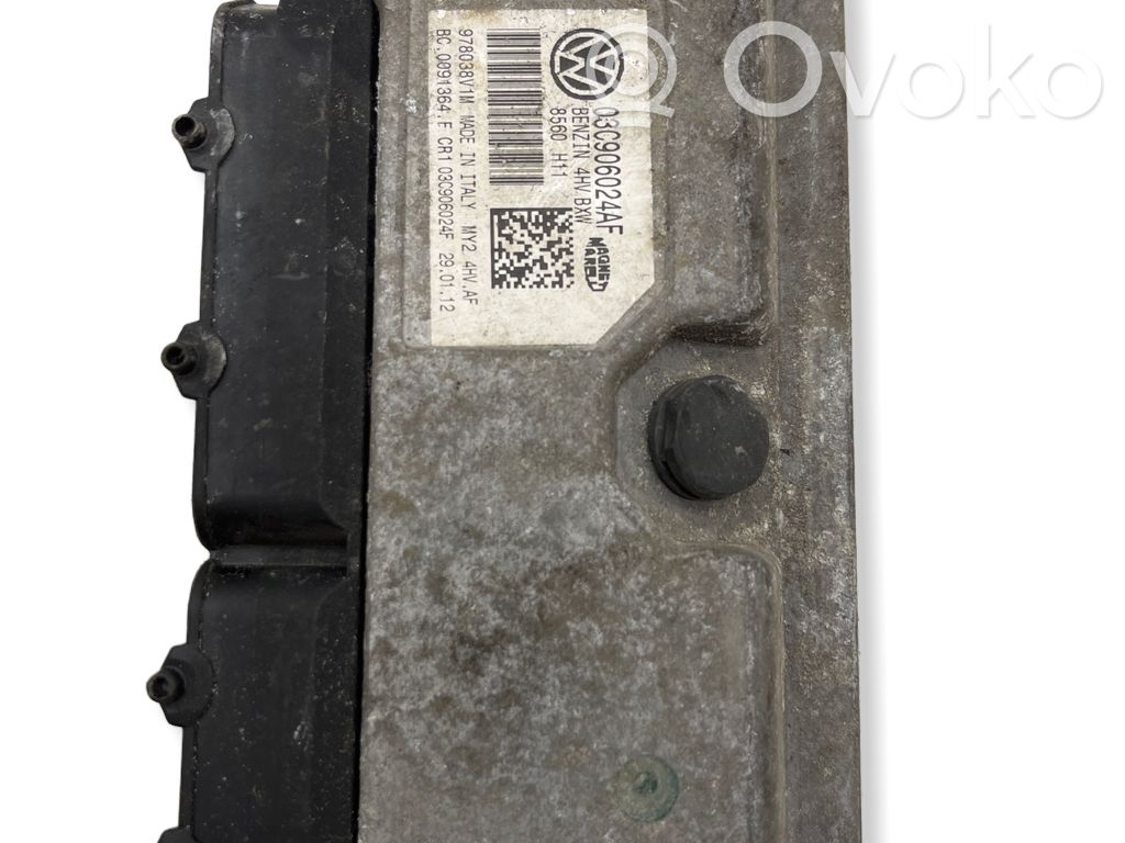 Seat Ibiza III (6L) Engine control unit/module 