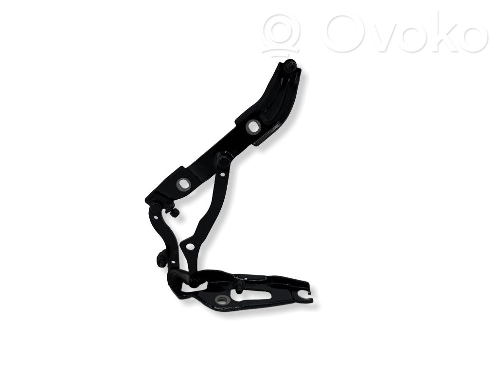BMW 2 F22 F23 Cerniera portellone posteriore/bagagliaio 
