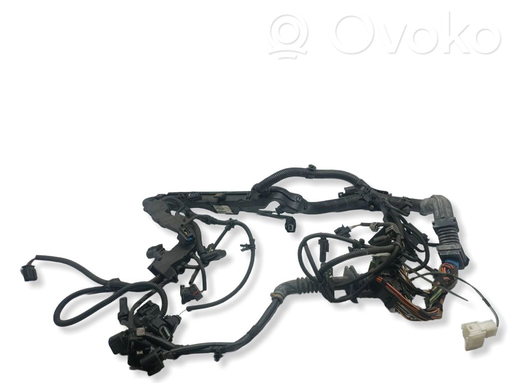 BMW X5 E70 Cablaj motor 