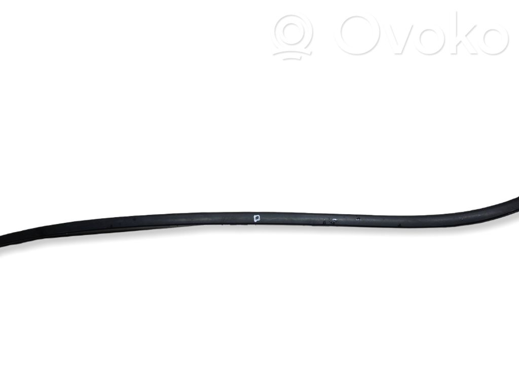 Windshield trim   9688471480