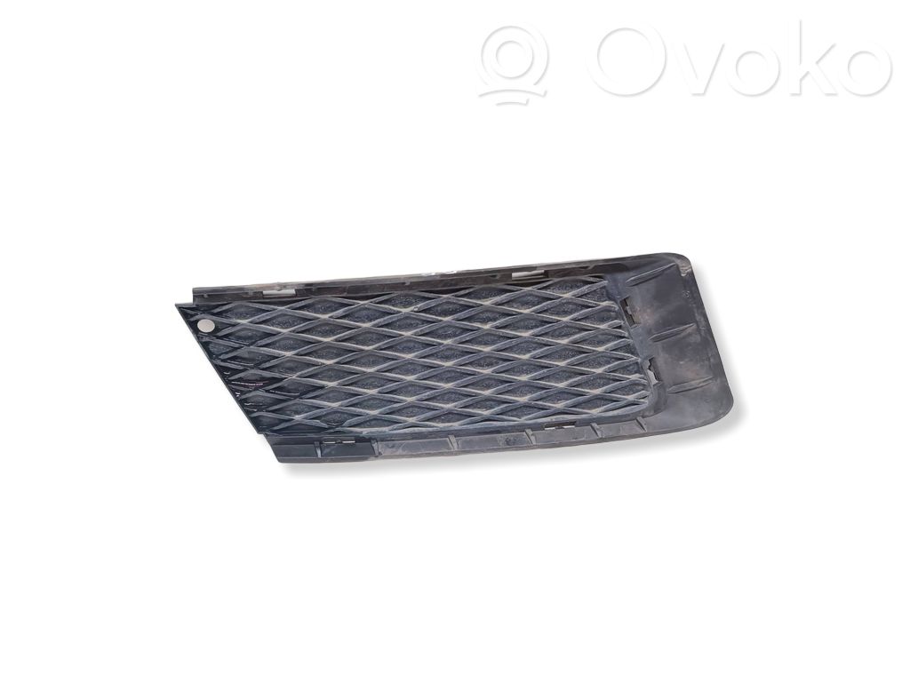 BMW 3 E92 E93 Front bumper lower grill 