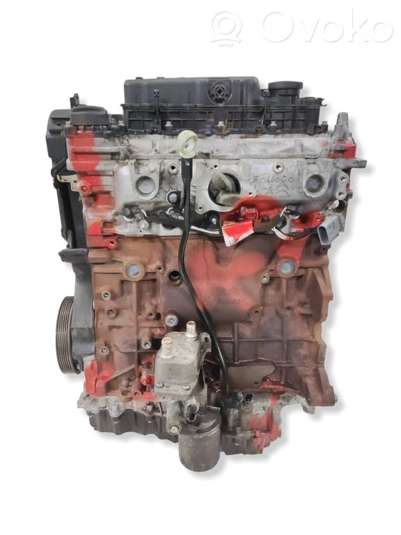 Engine   EHZ,DW10F,98050