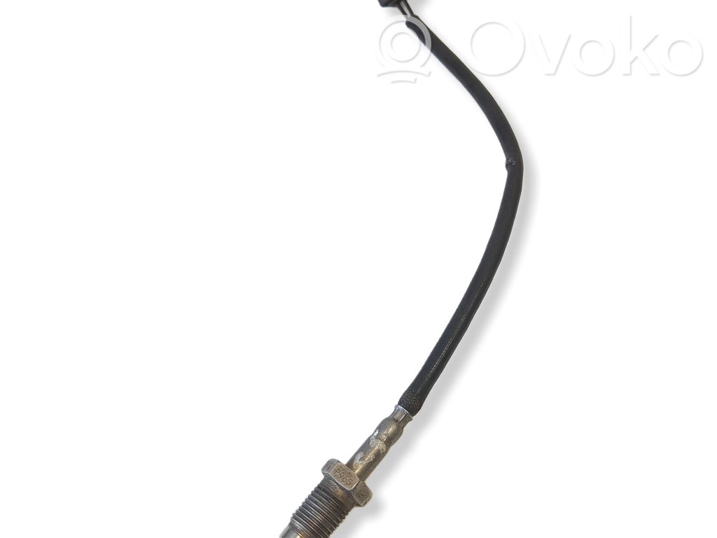 Citroen C5 Išmetamųjų dujų temperatūros daviklis 