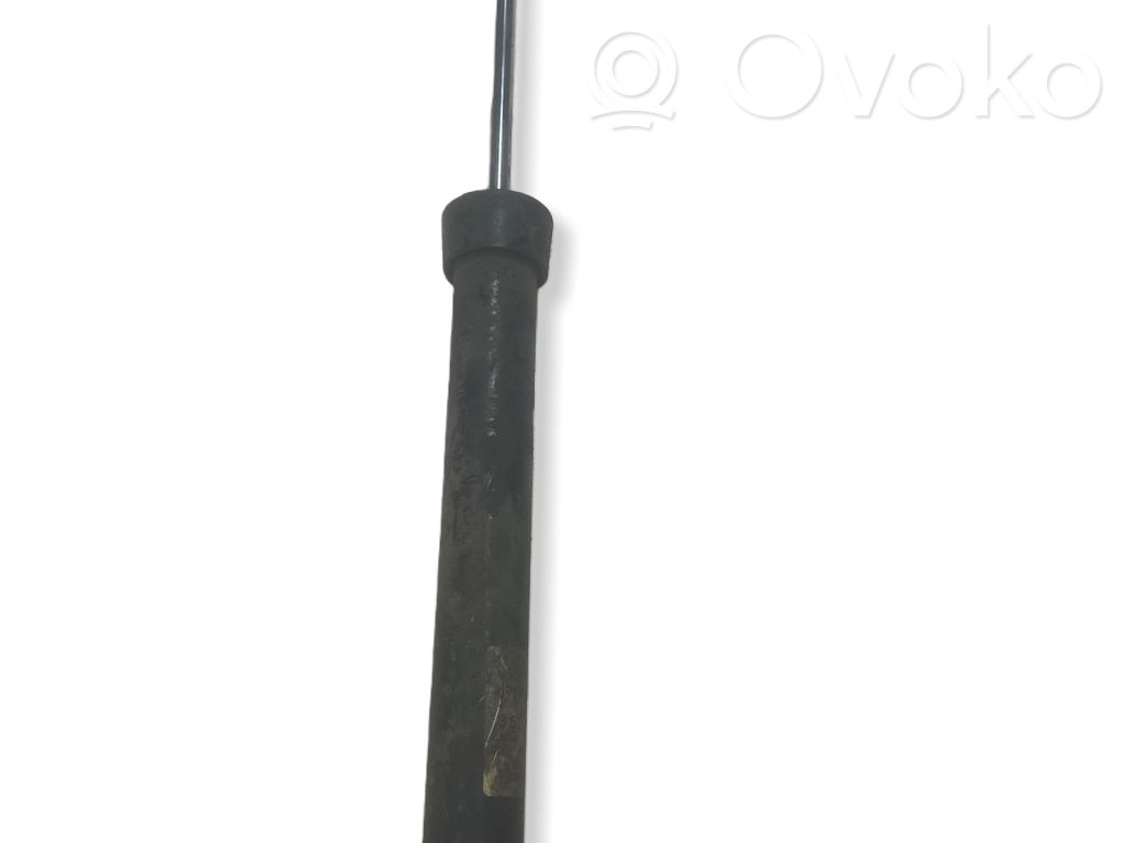 Stoßdämpfer hinten   1095647