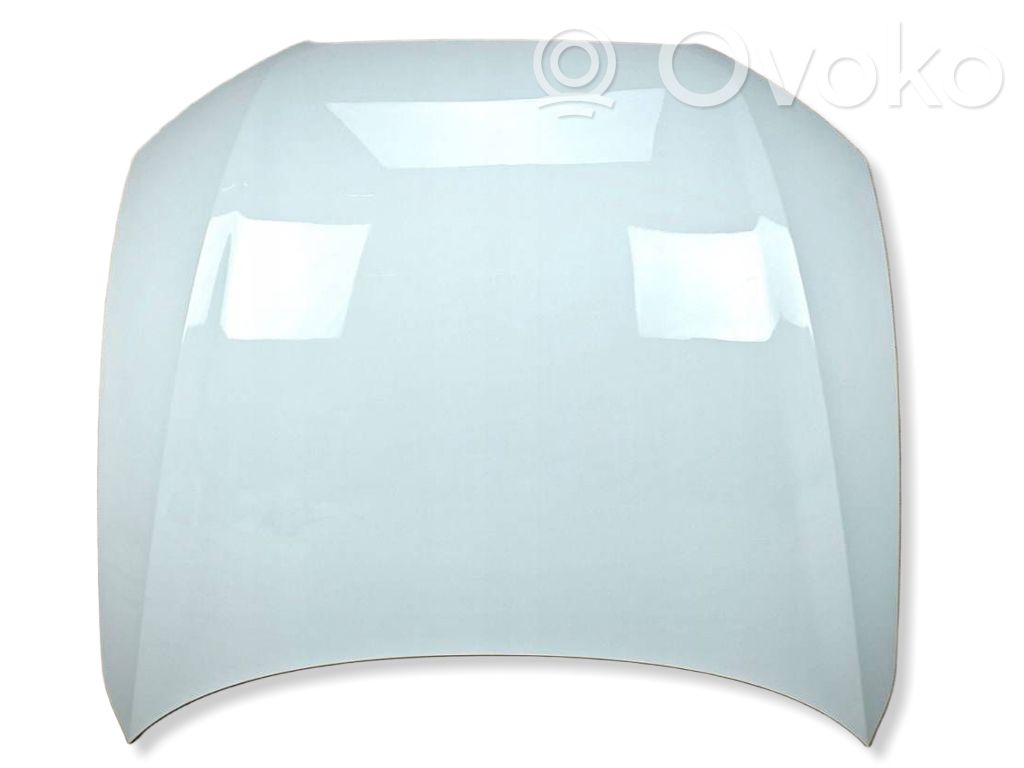 Motorhaube