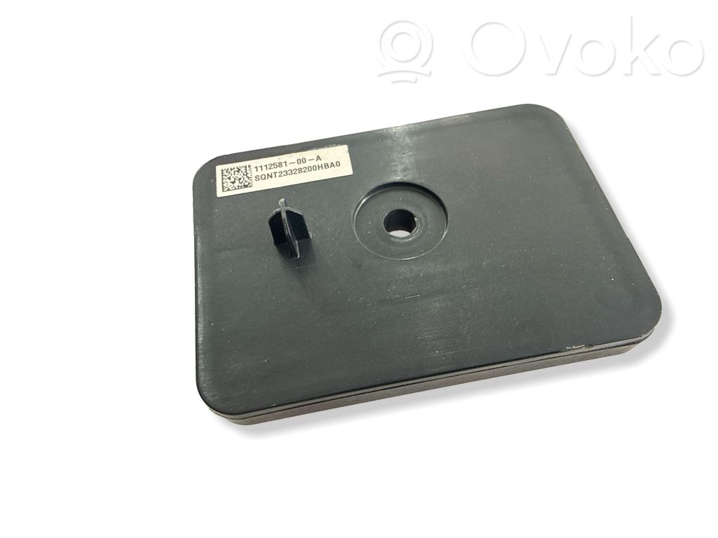 Tesla Model 3 Other control units/modules 