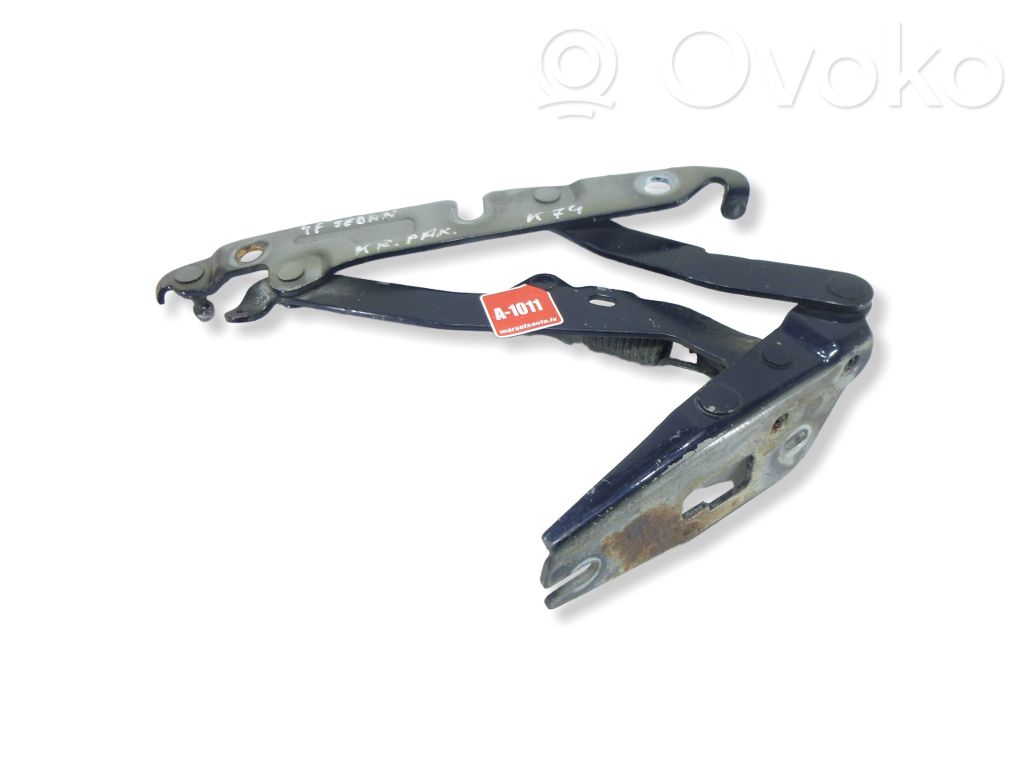Tailgate/trunk/boot hinge   4F5827301