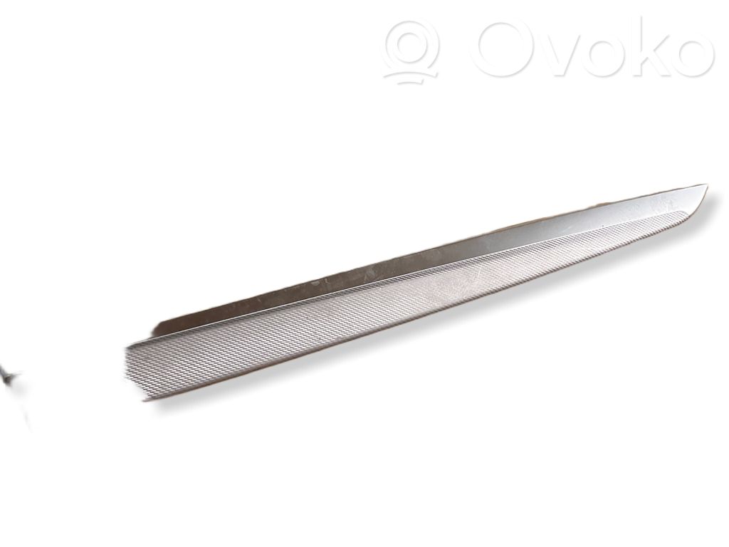 BMW 5 F10 F11 Alte componente panou ușă spate 