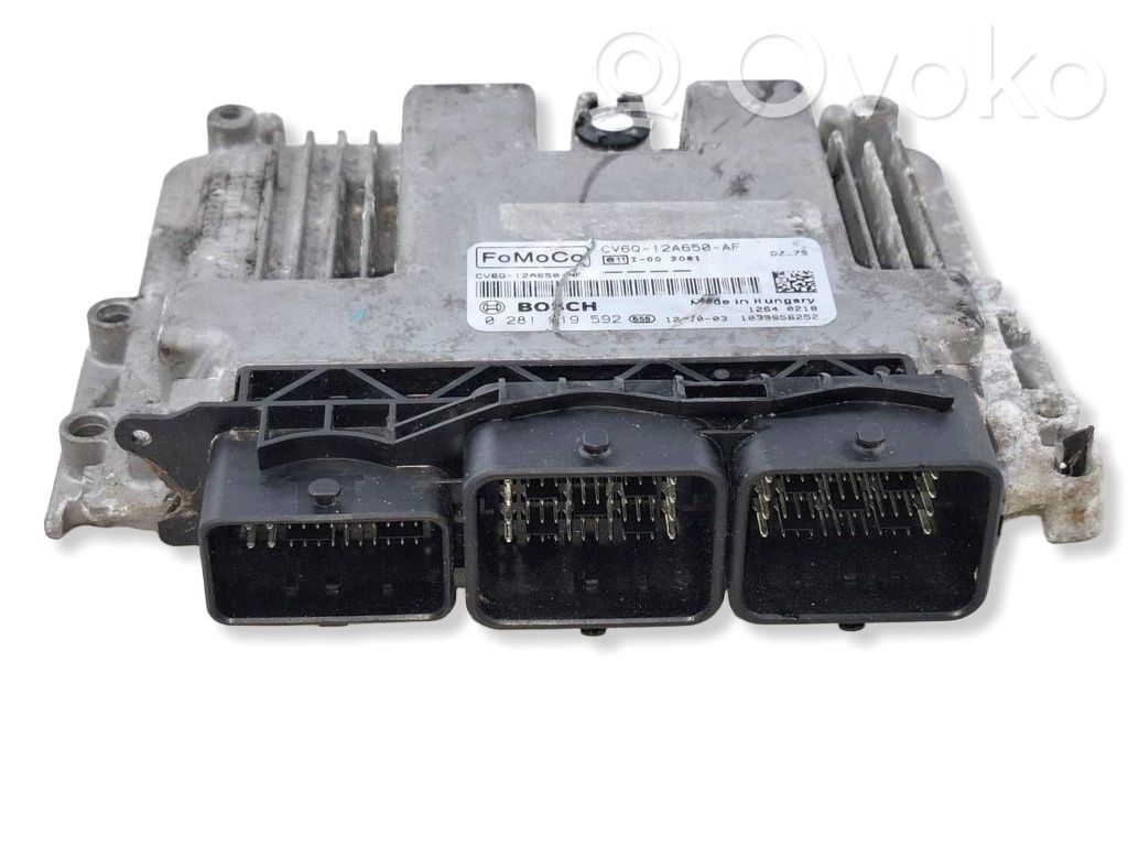Engine control unit/module ECU   CV6Q12A650AF,0281019592