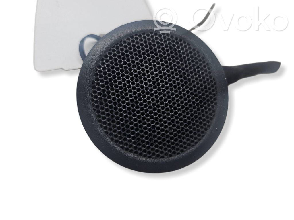 Panel speaker   6M2T18985B