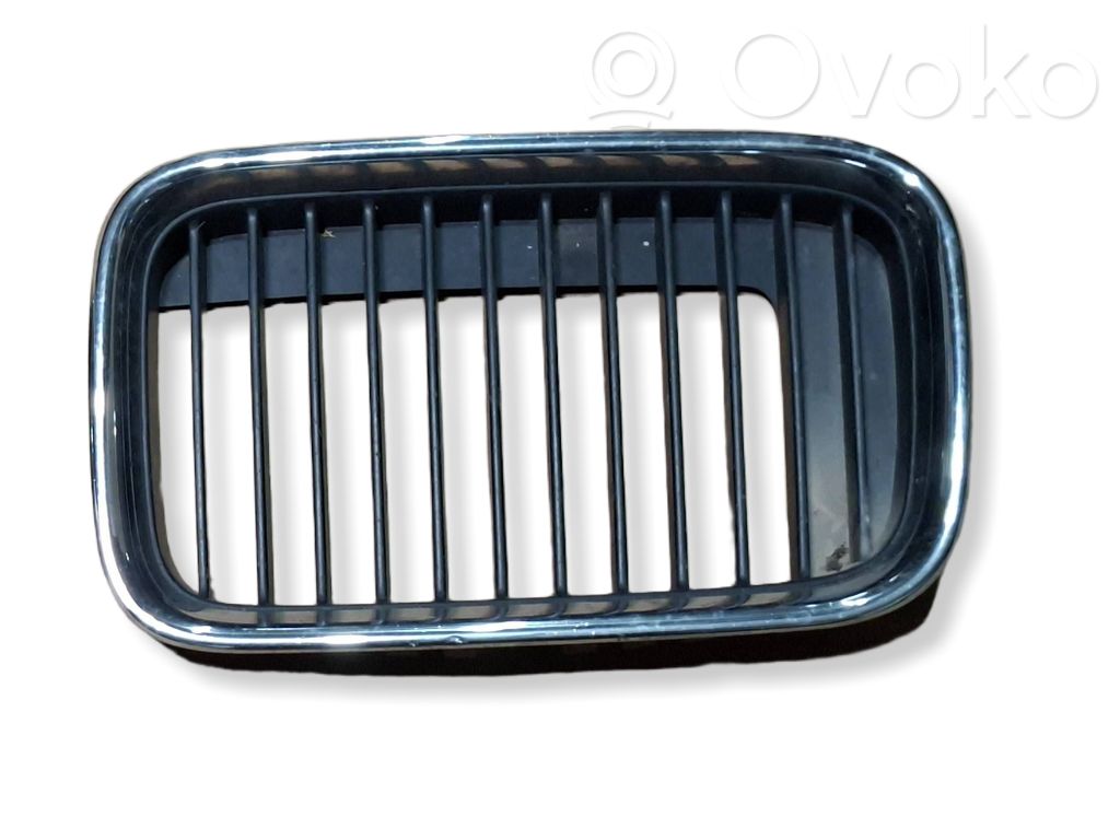 Front grill   51138151547