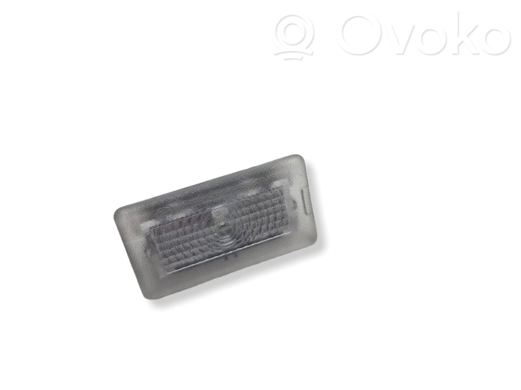 Tesla Model 3 Front seat light 