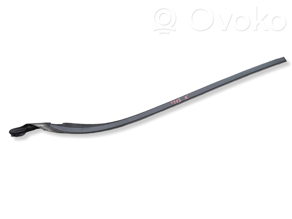 Windshield trim   31335864
