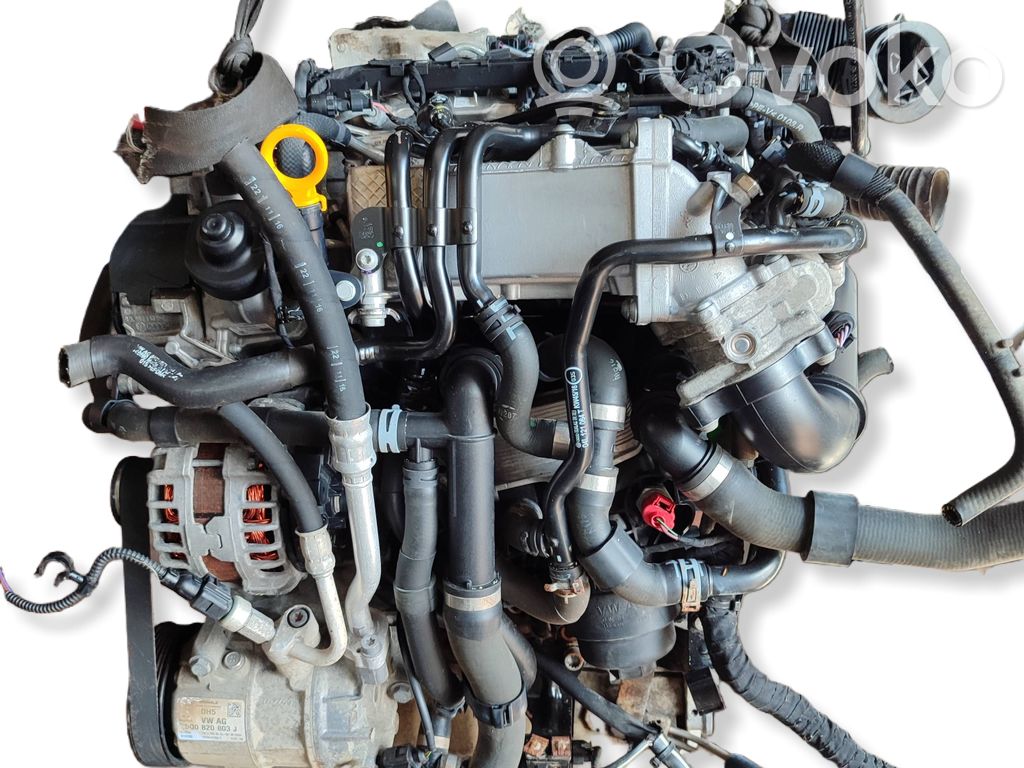 Motor   DFS,DFSA,DFSS
