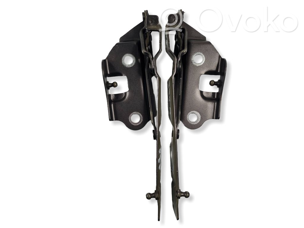 Dodge Challenger Tailgate/trunk/boot hinge 