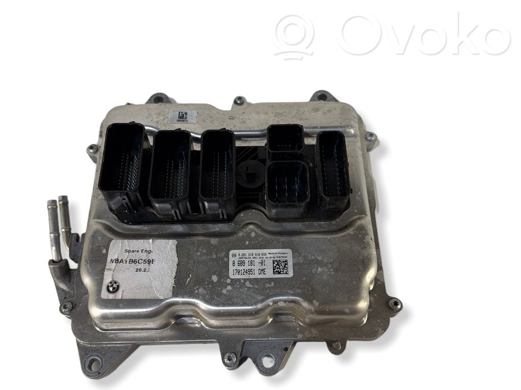 Sterownik / Moduł ECU   8689181,170124951