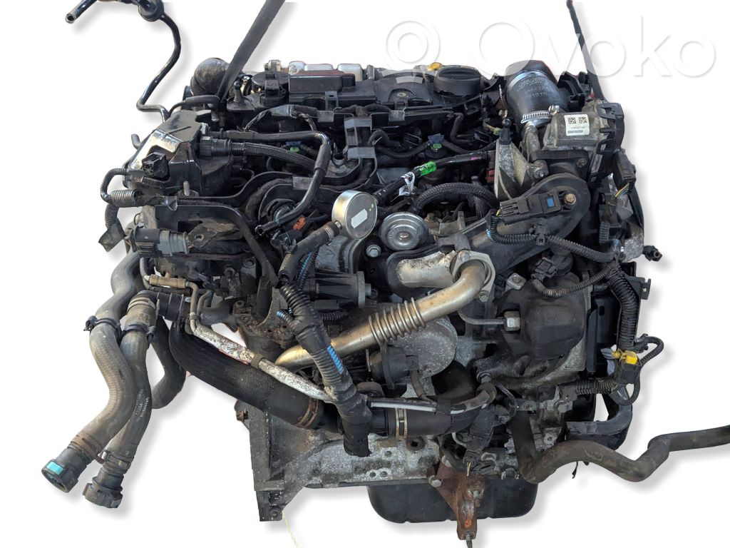 Ford Ecosport Variklio komplektas 